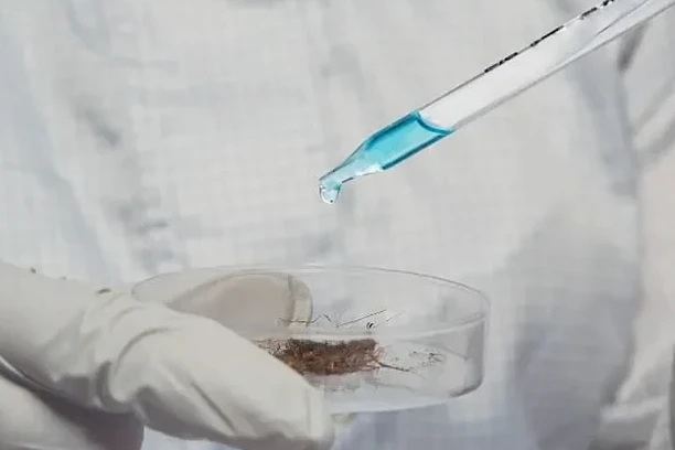 Illustrative image of Undisturbed sampling (Shelby tube) in Fredericton